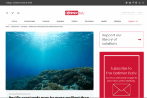 Pacific coral reefs may be more resilient than we think | The Optimist Daily