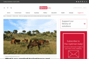 What is eco-grazing? Ancient horses and bison battle Spain and Portugal’s wildfires | The Optimist Daily