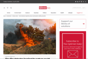 Tiny fire detector inspired by nature could transform wildfire prevention | The Optimist Daily