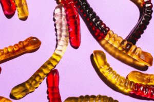 Beyond the Bees: 6 Keystone Species That Deserve the Spotlight