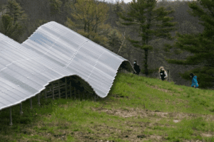 Maine moves to fast-track clean energy before federal tax credits…