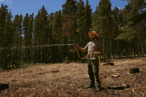How mushrooms can prevent megafires | Food and Environment Reporting Network