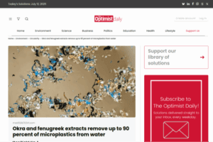 Okra and fenugreek extracts remove up to 90 percent of microplastics from water | The Optimist Daily