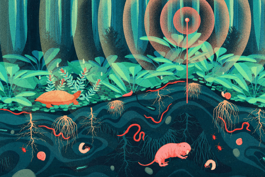 Life in the soil was thought to be silent. What if it isn’t?