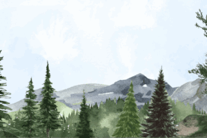 6 Surprising Facts About Trees That Will Change How You See Forests