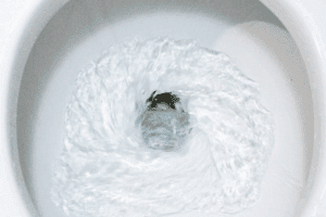 Innovative drought relief in California: from toilet to tap | The Optimist Daily
