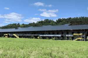 Brightfields Accelerator – RMI