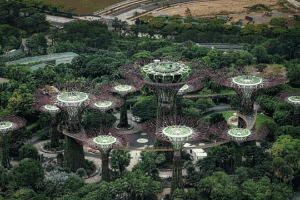 Designing Cities from Nature’s Blueprint – Earth Day