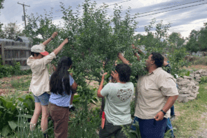 Denver’s Food Forests Bear Fruit, for the City and Environment | Civil Eats