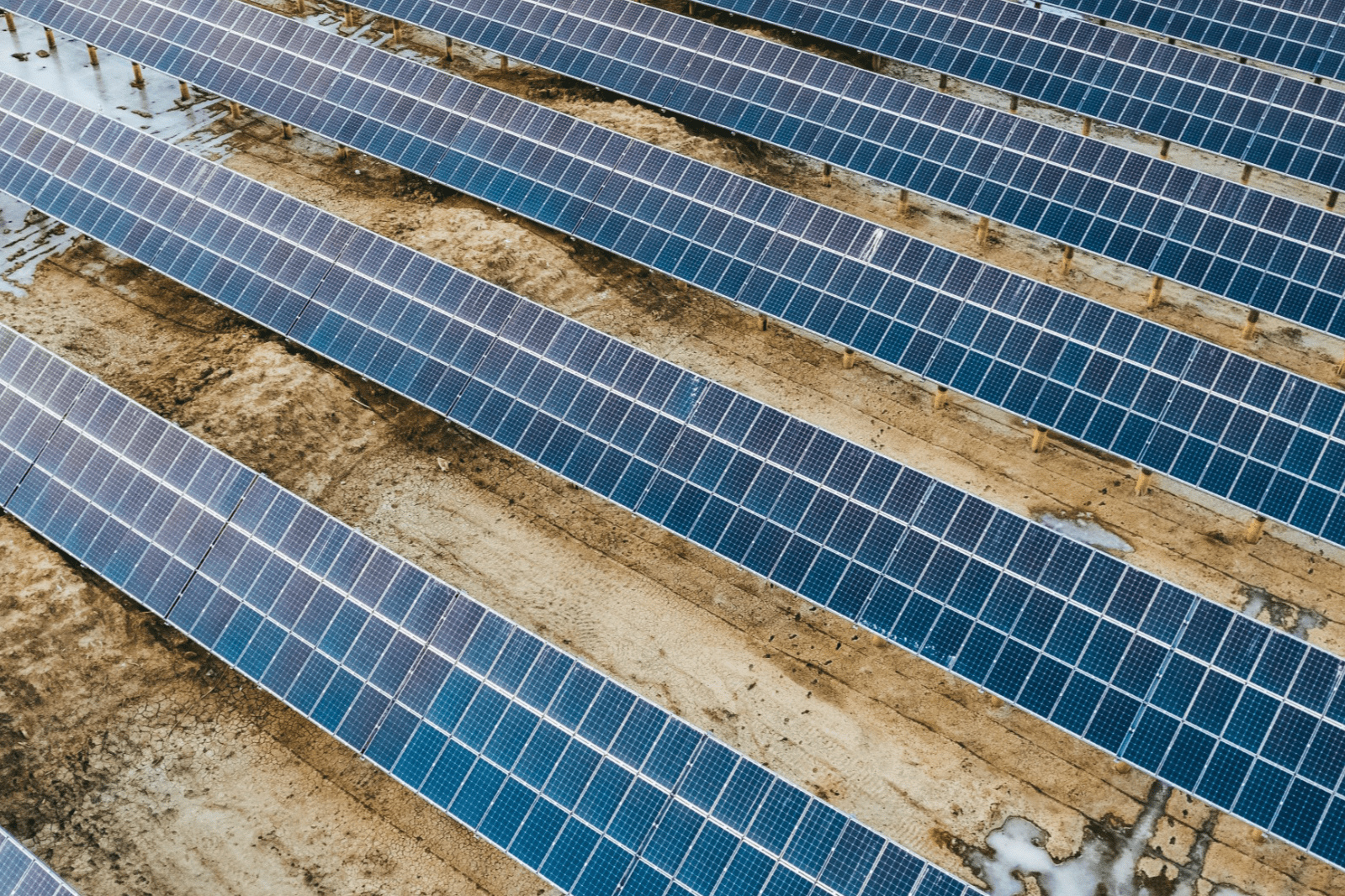 How Minnesota’s Sherco Solar is leading a clean energy revolution | The Optimist Daily