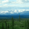 Opinion | How You Can Help Save Boreal Forests in 2026 | Common Dreams