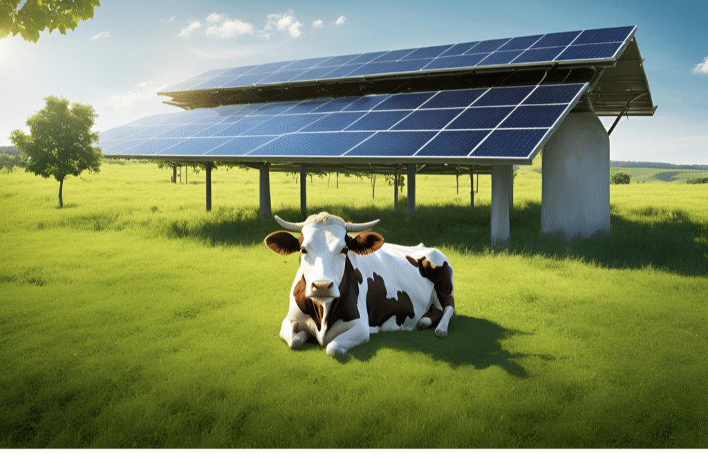 Harvesting the Sun: How Solar Energy is Revolutionizing Farming – Earth Day