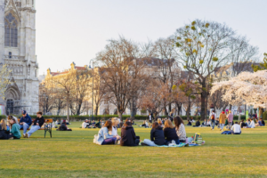 Vienna is turning parking spaces into parks and it’s changing the city | The Optimist Daily