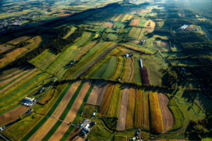 Should Every State Have Its Own Farm Bill? | Civil Eats