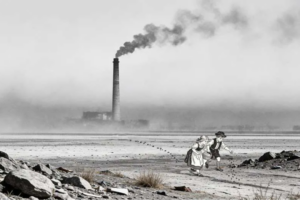 Breadcrumbs (literally) lay path away from fossil fuels