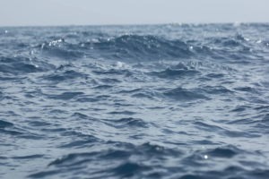 ‘Time for Half Measures Is Over’: Study Warns of Terrifying Atlantic Ocean Current Collapse -commondreams.org