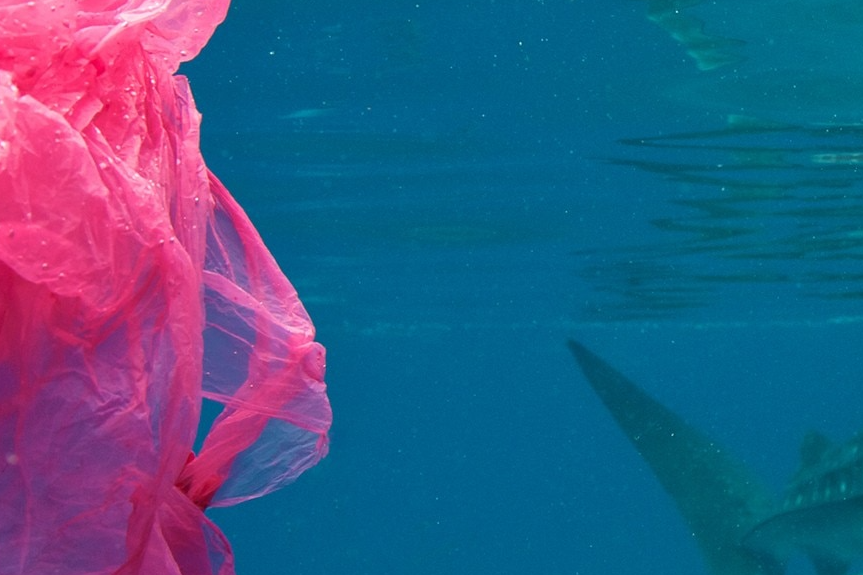 5 unexpected solutions to the plastic crisis | BBC Earth