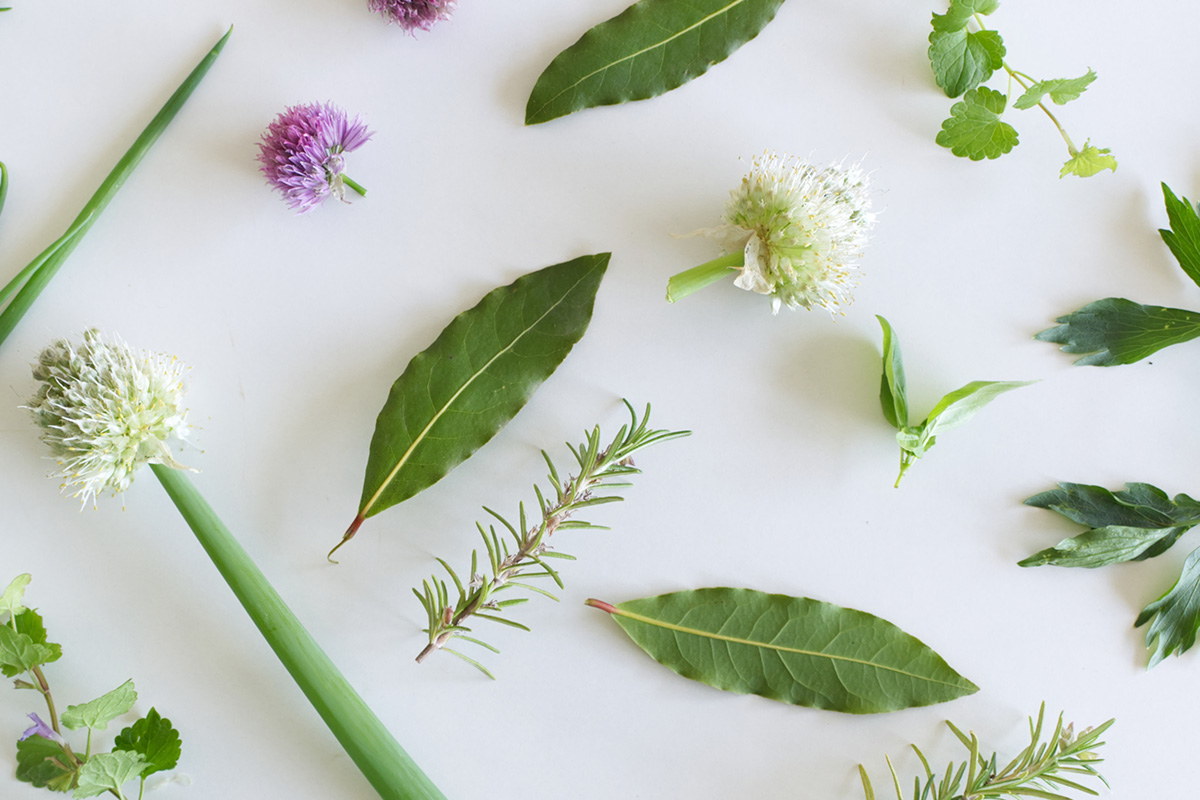 Edible landscaping is beautiful and delicious – FoodPrint