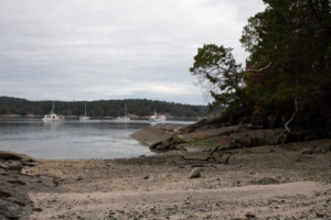 Why Western scientists are turning to Indigenous knowledge | The Optimist Daily