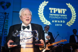 The 10-minute habit that helped David Attenborough reach 100 years old | The Optimist Daily