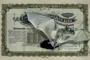 How a cave fungus became a municipal-finance problem…and a conservation solution.