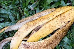 From compost to crops: banana peels show surprising power as eco-friendly fertilizer | The Optimist Daily