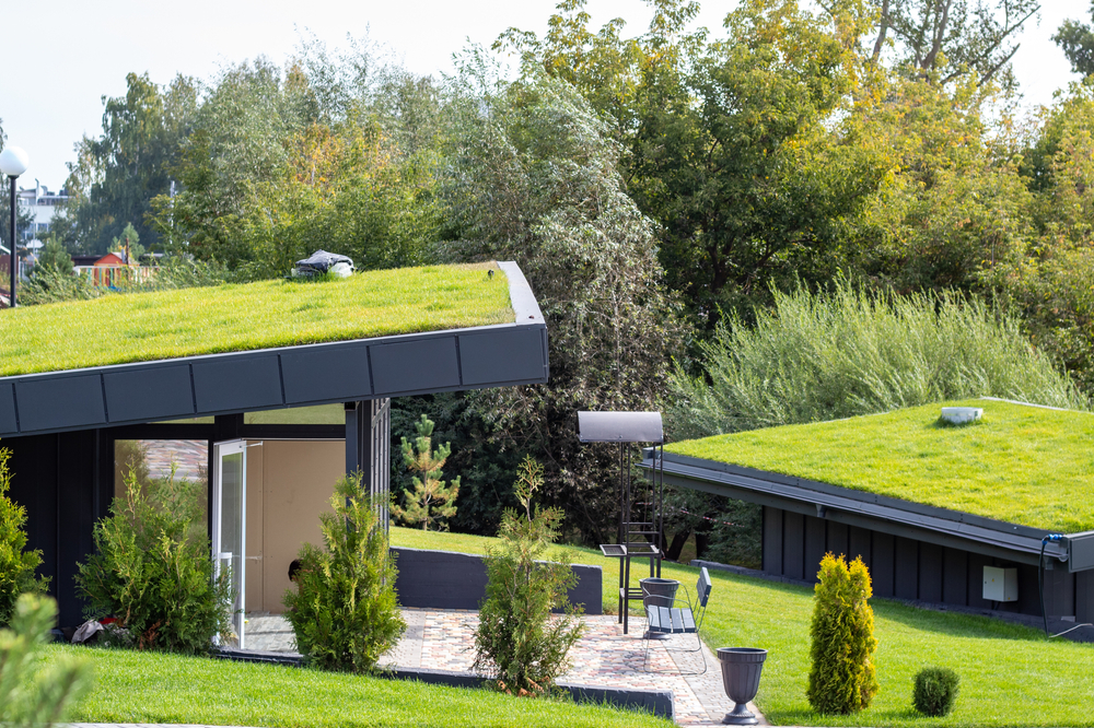 What are green roofs and should you consider one? The history and benefits of green roofs | The Optimist Daily