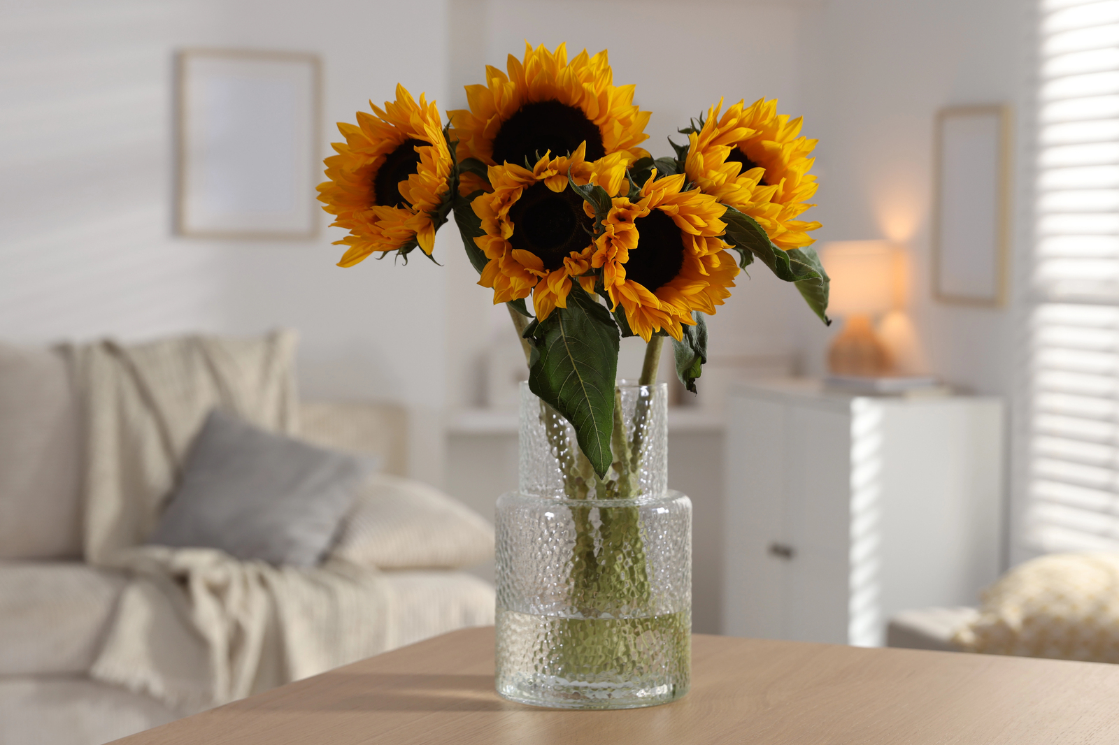 Keep cut sunflowers fresh longer with these simple care habits | The Optimist Daily