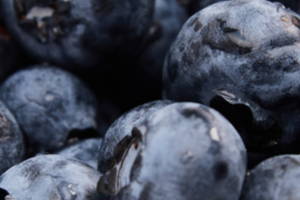The case for eating blueberries every day, according to a nutritionist | The Optimist Daily