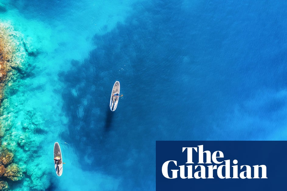 World’s oceans hit hottest temperature on record in August | Oceans | The Guardian