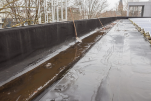 Rooftop rainwater could break cities’ air conditioning trap | The Optimist Daily