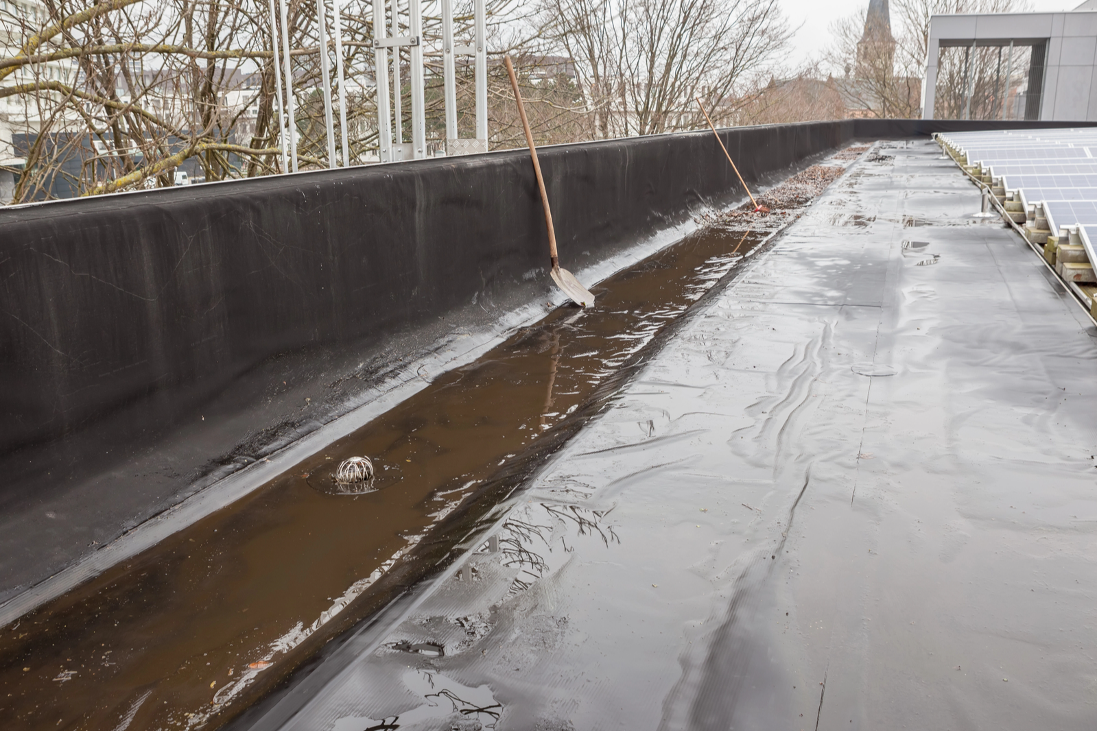Rooftop rainwater could break cities’ air conditioning trap | The Optimist Daily
