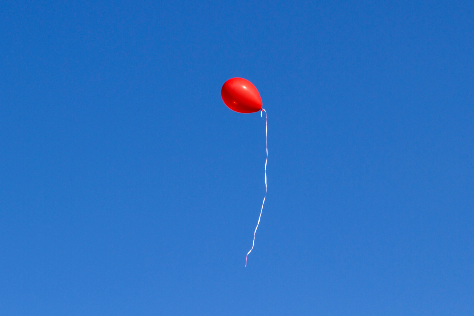 Meet the Bioloon: the biodegradable balloon aiming for shelves by 2028 | The Optimist Daily