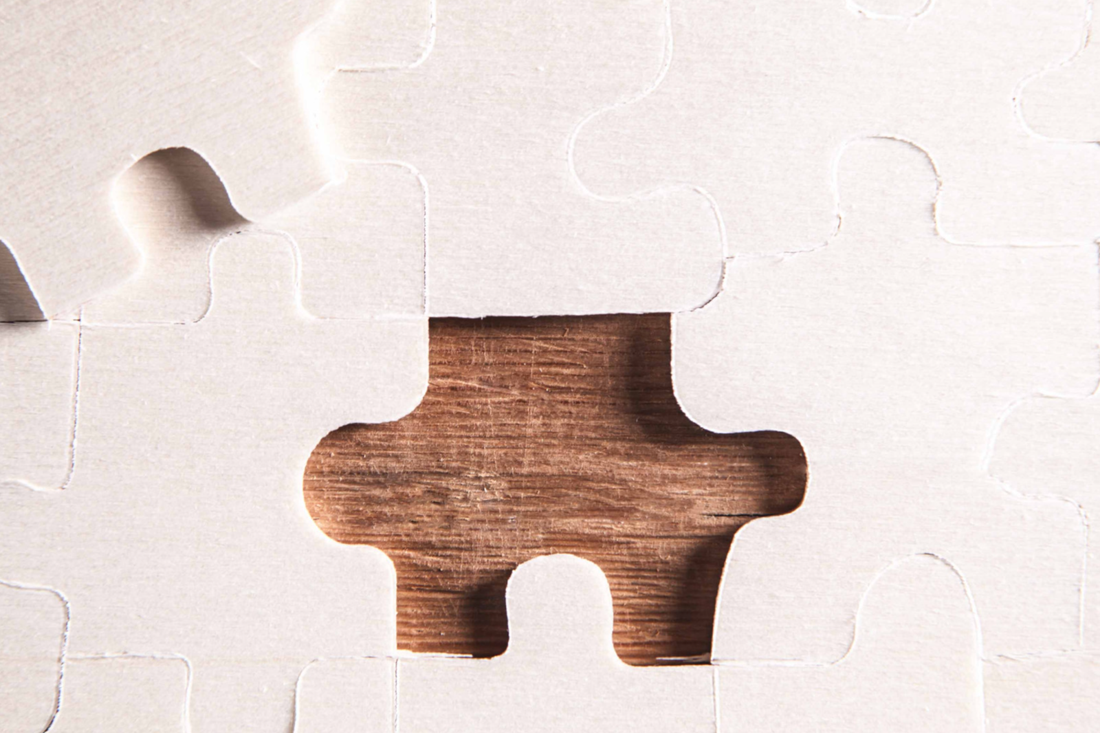 Jigsaw puzzles: A hobby that’s great for your brain | The Optimist Daily