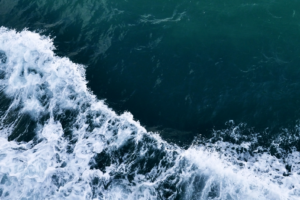 A splash of good news for oceans: new plastic dissolves in seawater in just hours | The Optimist Daily
