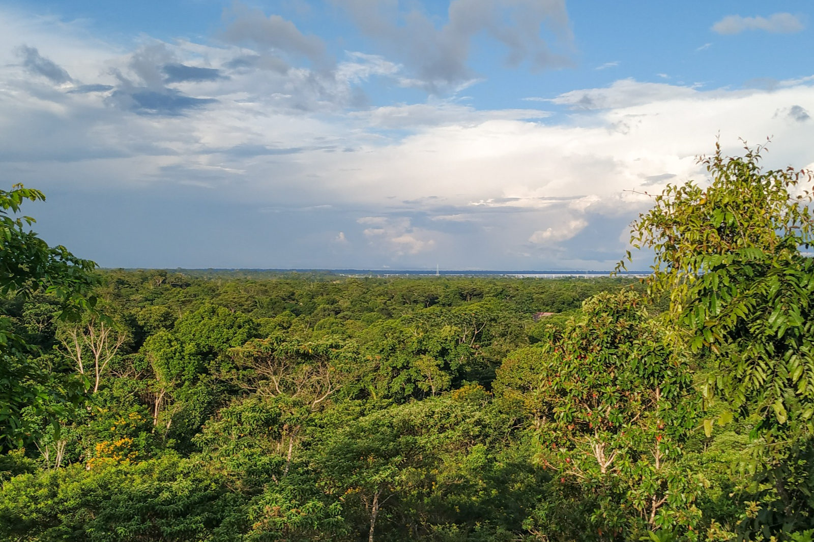 Colombia’s battle against deforestation achieves remarkable results | The Optimist Daily